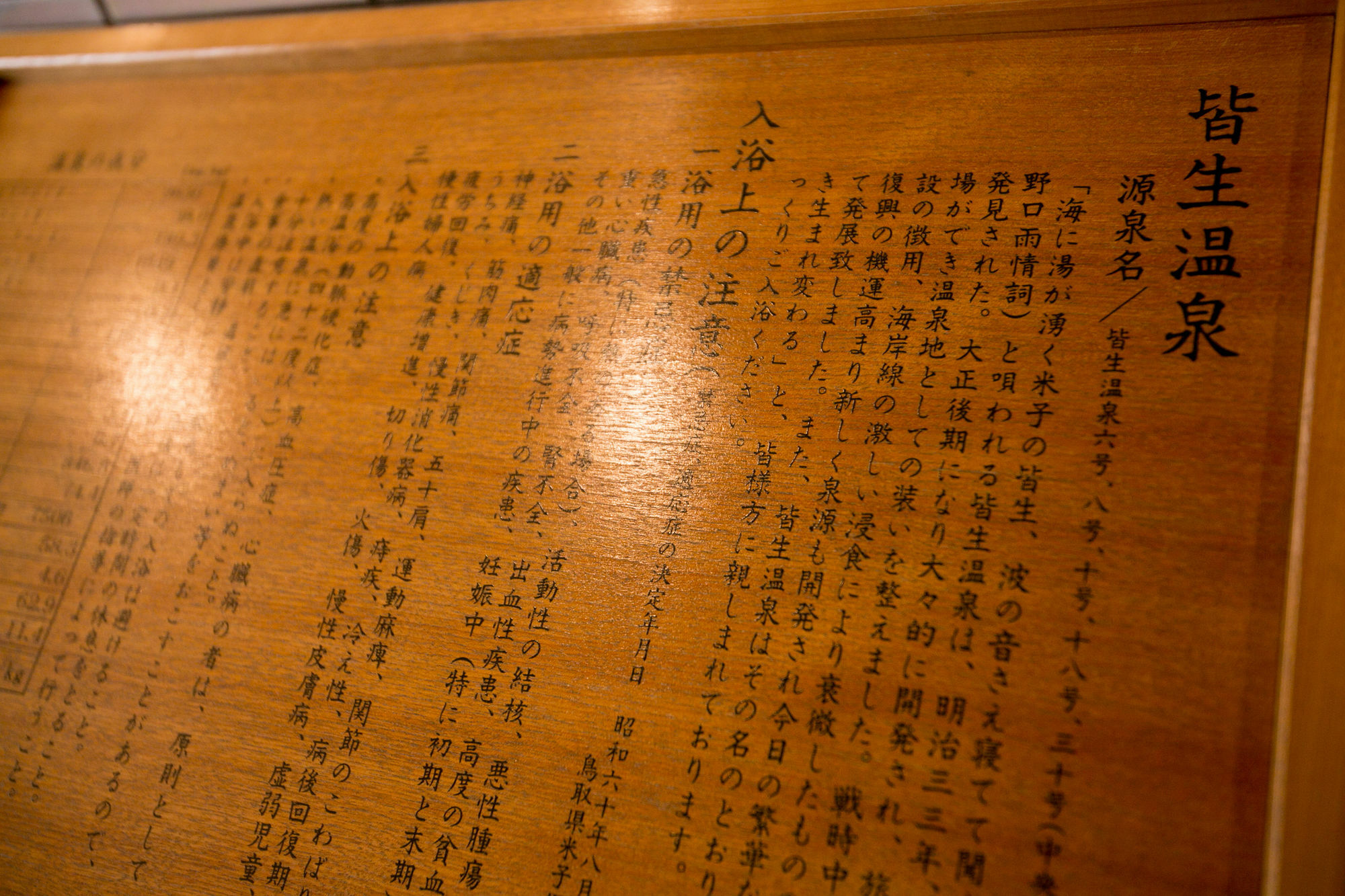 Hotel Kaike Tsuruya Yonago Zewnętrze zdjęcie
